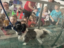 Děti z MŠ na veterině
