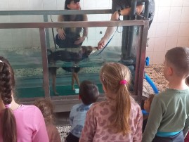 Děti z MŠ na veterině