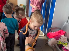 Děti z MŠ na veterině