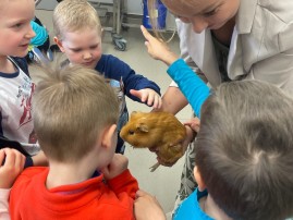 Děti z MŠ na veterině