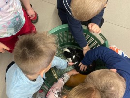 Děti z MŠ na veterině