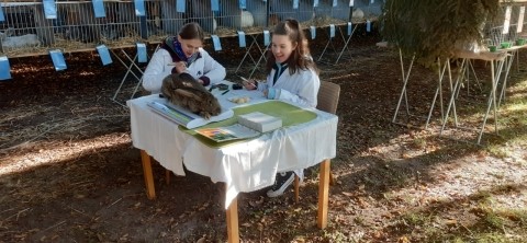 Veterináři na husích slavnostech